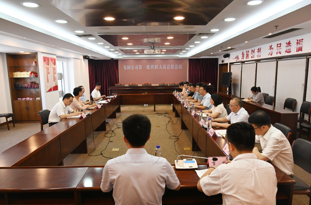 蘇鹽集團黨委召開第一批掛職人員總結會議